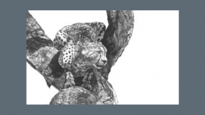 Thumbnail of http://Pencil%20drawing%20of%20leopard%20in%20a%20tree