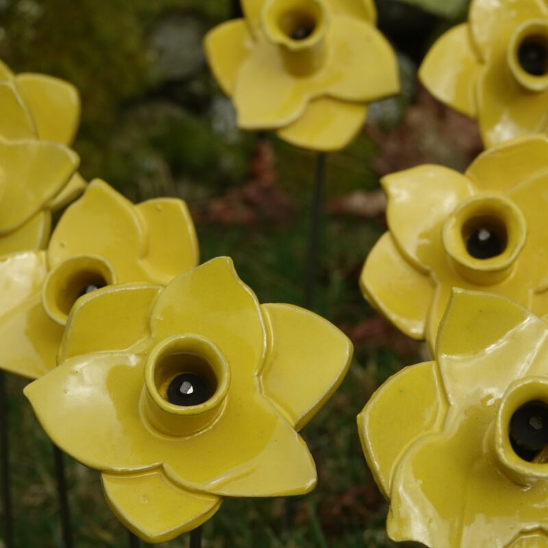 Ceramic daffodils at Lowther Castle, Cumbria