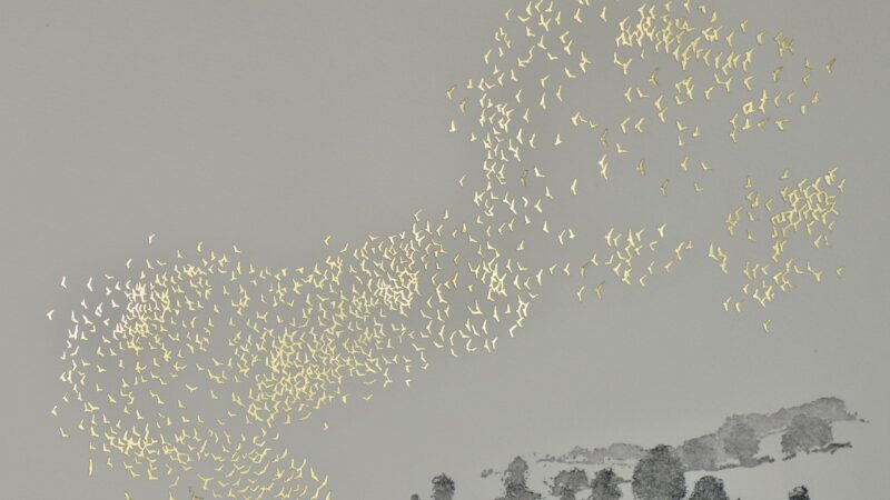 Artwork of birds flying